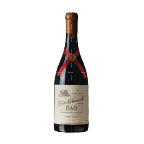 Vinho Tinto do Dão – Elegância e Tradição